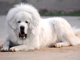 嘀嘀工程APP下载免费2024最新版无广告