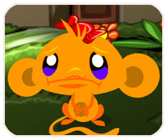 6中荷人寿APP软件免费版