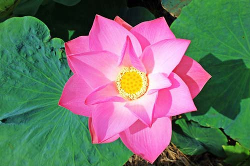 钥匣子云版安卓版安装下载正版无广告