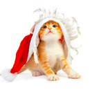 帮你带APP最新版2024