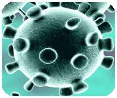 海盛海智联安卓版正版无广告版