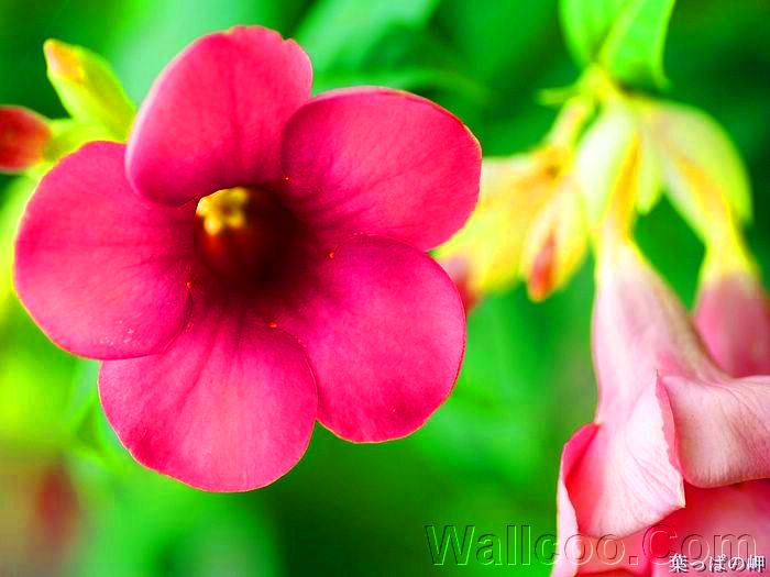 1趣相册APP官网2024年官方正版