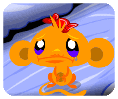 玉溪百事通APP下载安装正版