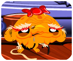 酷空间盒子安卓版2024版 