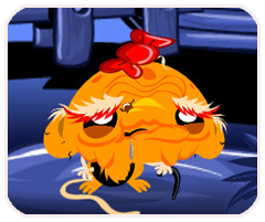 四驾马车APP无需实名认证版