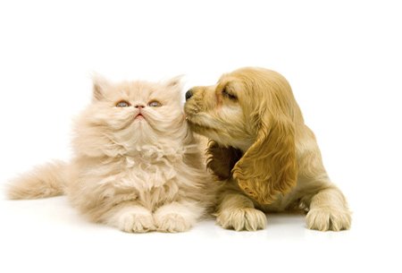 老乡快来安卓版下载免费无实名认证2024版